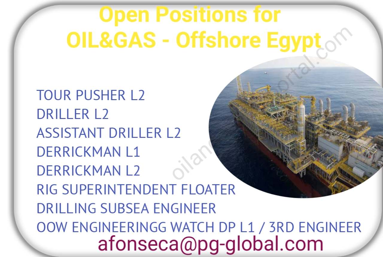 Open Positions for OIL&GAS - Offshore Egypt